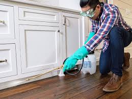 Best Real Estate Pest Inspections  in Nashville, MI