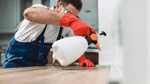 Best Pest Prevention Services  in Nashville, MI